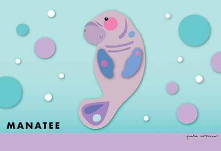 Pete Cromer 3D Postcard - Manatee