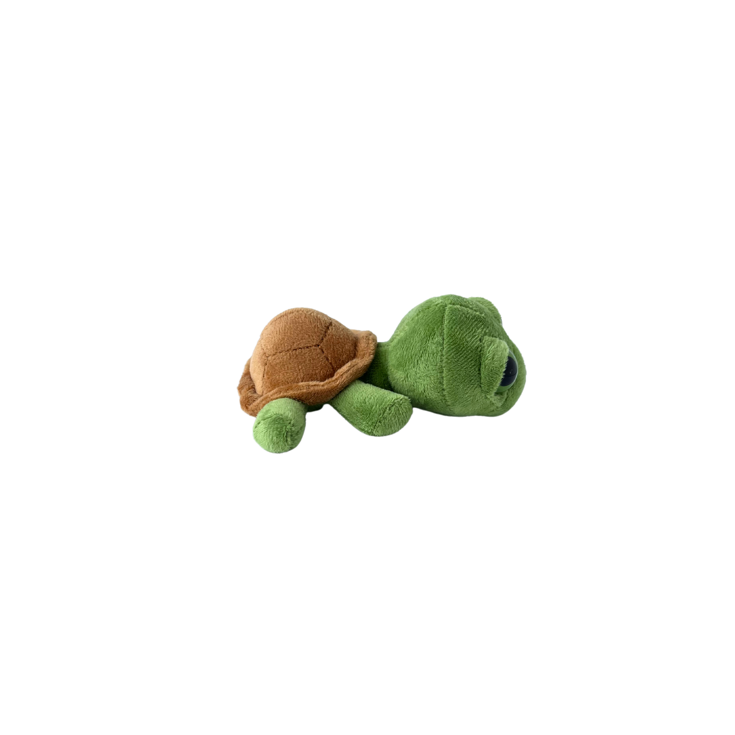 Plush Big Eye Baby Turtle - Small