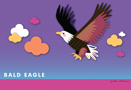 Pete Cromer 3D Postcard - Bald Eagle