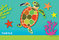 Pete Cromer 3D Postcard - Turtle